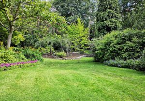 Optimiser l'expérience du jardin à Bouesse