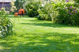 travaux jardin et paysage Bouesse